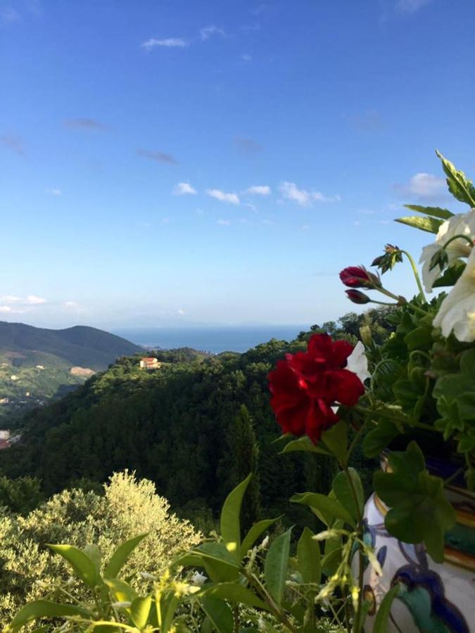 Bed and Breakfast La Riggiola Salerno Exteriér fotografie