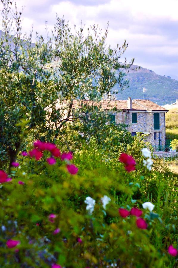 Bed and Breakfast La Riggiola Salerno Exteriér fotografie